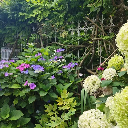 Lägenhet Le Petit Nid D'aigle - Giverny