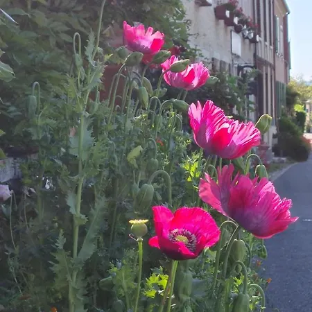 Le Petit Nid D'aigle -