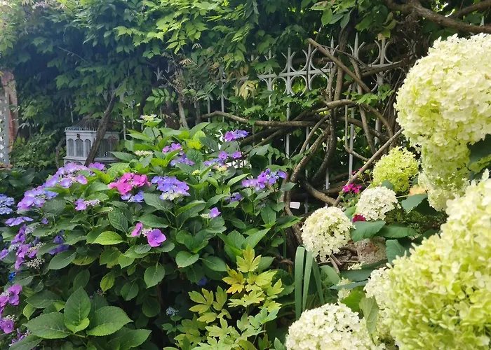 Appartement Le Petit Nid D'aigle - Giverny